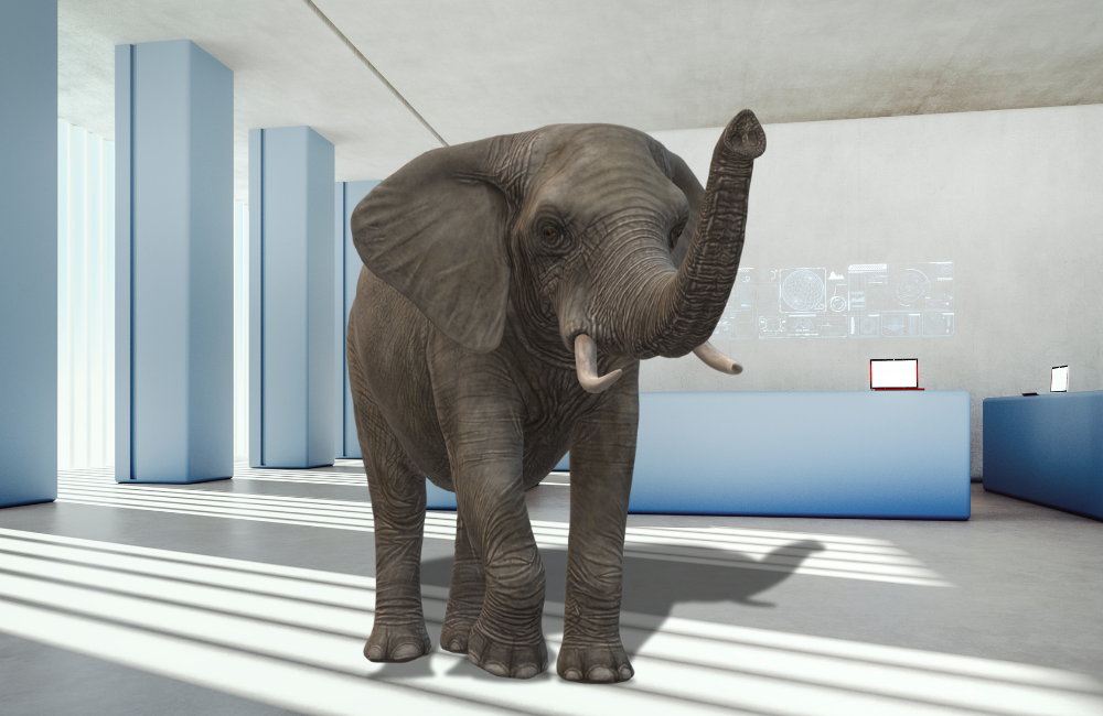 Let’s Talk About the Elephant in the Room