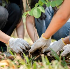 Alameda Point Collaborative Community Garden Volunteer Day