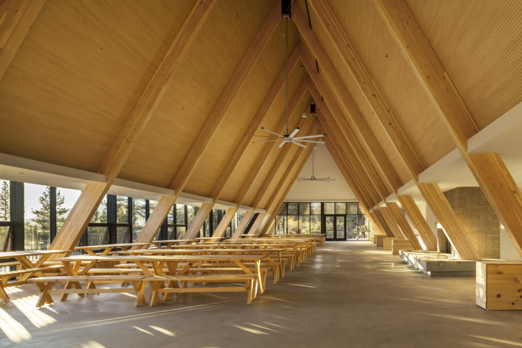 You Can Specify Bio-Based Materials on Your Next Project. Here’s Where to Start.
