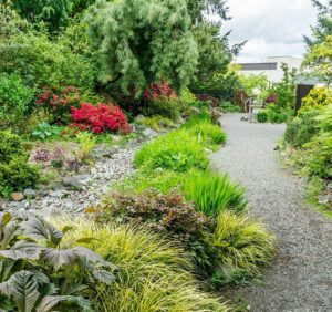 Wildfire Defense Certificate Training for Landscape Professionals